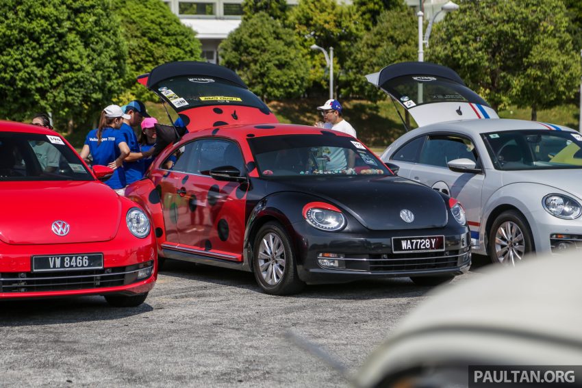 Volkswagen Beetle 告别聚会, 405辆三代甲虫车齐聚一堂 100962