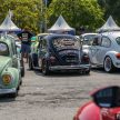 Volkswagen Beetle 告别聚会, 405辆三代甲虫车齐聚一堂