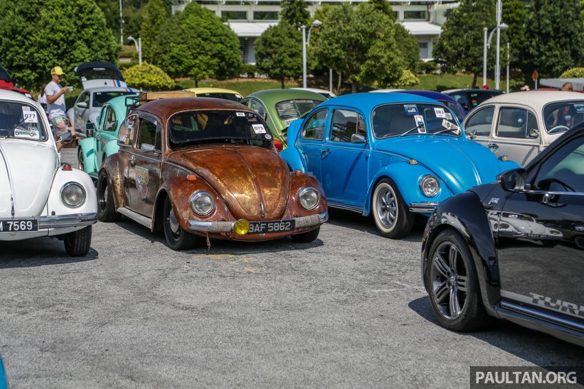 Volkswagen Beetle 告别聚会, 405辆三代甲虫车齐聚一堂 100972