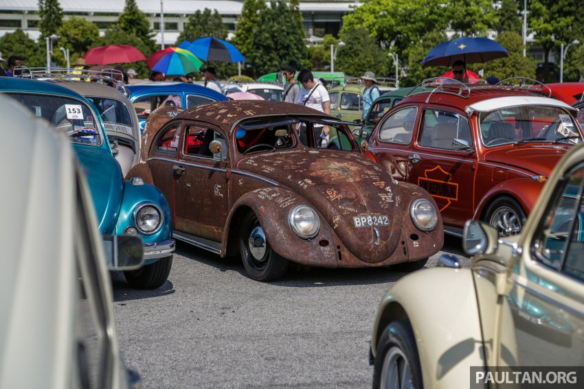Volkswagen Beetle 告别聚会, 405辆三代甲虫车齐聚一堂 100976