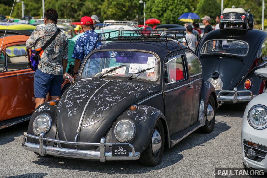Volkswagen Beetle 告别聚会, 405辆三代甲虫车齐聚一堂 100979