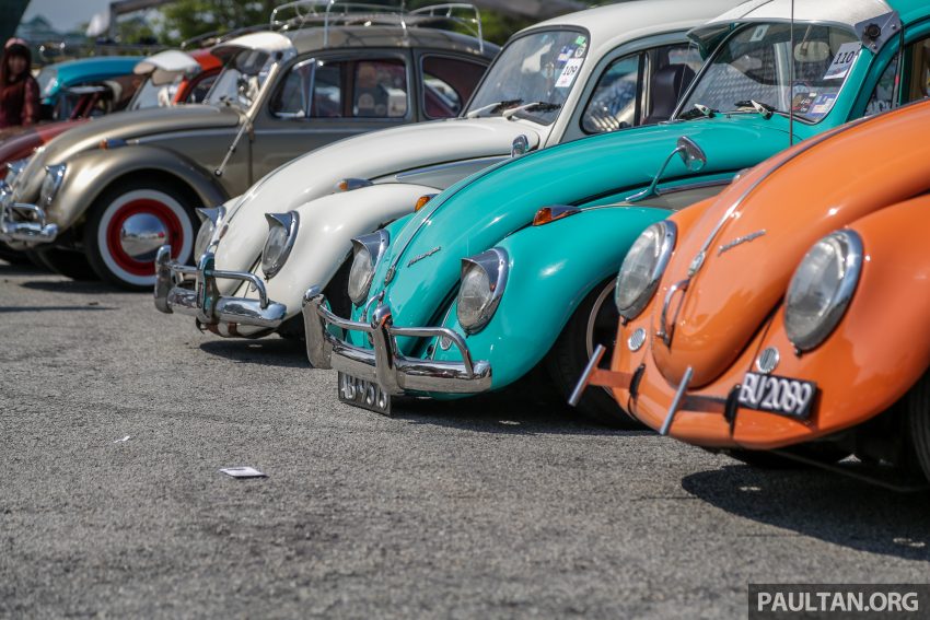 Volkswagen Beetle 告别聚会, 405辆三代甲虫车齐聚一堂 100980