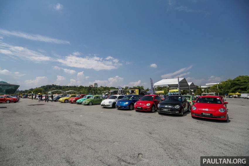 Volkswagen Beetle 告别聚会, 405辆三代甲虫车齐聚一堂 100943