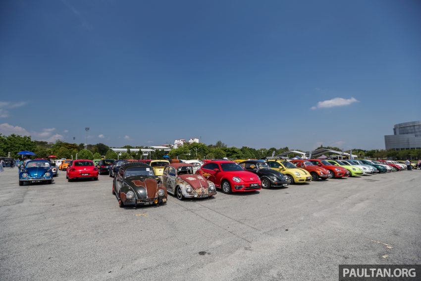 Volkswagen Beetle 告别聚会, 405辆三代甲虫车齐聚一堂 100945