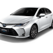 总代理网上发预告，2019 Toyota Corolla 近期内正式抵马