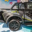 搭上双11便车，19辆 Ford Ranger Splash 全被预购一空