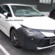 还有油电版本会来? 新 Toyota Corolla Hybrid 本地被抓拍