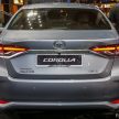 还有油电版本会来? 新 Toyota Corolla Hybrid 本地被抓拍