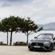 小改款 Mercedes-AMG E 53 4Matic+ Coupé 正式发布