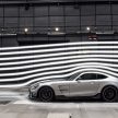 猛兽之王出山！Mercedes-AMG GT Black Series 正式发布，AMG GT系列的终极性能版！可榨出 730 PS / 800 Nm