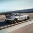猛兽之王出山！Mercedes-AMG GT Black Series 正式发布，AMG GT系列的终极性能版！可榨出 730 PS / 800 Nm