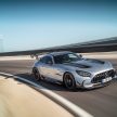 猛兽之王出山！Mercedes-AMG GT Black Series 正式发布，AMG GT系列的终极性能版！可榨出 730 PS / 800 Nm