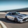 猛兽之王出山！Mercedes-AMG GT Black Series 正式发布，AMG GT系列的终极性能版！可榨出 730 PS / 800 Nm