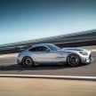猛兽之王出山！Mercedes-AMG GT Black Series 正式发布，AMG GT系列的终极性能版！可榨出 730 PS / 800 Nm
