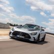 猛兽之王出山！Mercedes-AMG GT Black Series 正式发布，AMG GT系列的终极性能版！可榨出 730 PS / 800 Nm
