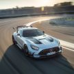 猛兽之王出山！Mercedes-AMG GT Black Series 正式发布，AMG GT系列的终极性能版！可榨出 730 PS / 800 Nm