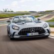 猛兽之王出山！Mercedes-AMG GT Black Series 正式发布，AMG GT系列的终极性能版！可榨出 730 PS / 800 Nm