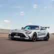 猛兽之王出山！Mercedes-AMG GT Black Series 正式发布，AMG GT系列的终极性能版！可榨出 730 PS / 800 Nm
