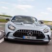 猛兽之王出山！Mercedes-AMG GT Black Series 正式发布，AMG GT系列的终极性能版！可榨出 730 PS / 800 Nm