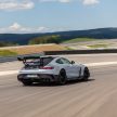 猛兽之王出山！Mercedes-AMG GT Black Series 正式发布，AMG GT系列的终极性能版！可榨出 730 PS / 800 Nm