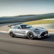 猛兽之王出山！Mercedes-AMG GT Black Series 正式发布，AMG GT系列的终极性能版！可榨出 730 PS / 800 Nm