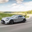 猛兽之王出山！Mercedes-AMG GT Black Series 正式发布，AMG GT系列的终极性能版！可榨出 730 PS / 800 Nm