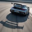 猛兽之王出山！Mercedes-AMG GT Black Series 正式发布，AMG GT系列的终极性能版！可榨出 730 PS / 800 Nm