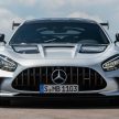 猛兽之王出山！Mercedes-AMG GT Black Series 正式发布，AMG GT系列的终极性能版！可榨出 730 PS / 800 Nm