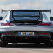 猛兽之王出山！Mercedes-AMG GT Black Series 正式发布，AMG GT系列的终极性能版！可榨出 730 PS / 800 Nm
