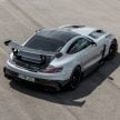 猛兽之王出山！Mercedes-AMG GT Black Series 正式发布，AMG GT系列的终极性能版！可榨出 730 PS / 800 Nm