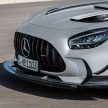 猛兽之王出山！Mercedes-AMG GT Black Series 正式发布，AMG GT系列的终极性能版！可榨出 730 PS / 800 Nm