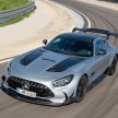猛兽之王出山！Mercedes-AMG GT Black Series 正式发布，AMG GT系列的终极性能版！可榨出 730 PS / 800 Nm