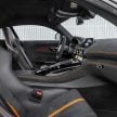 猛兽之王出山！Mercedes-AMG GT Black Series 正式发布，AMG GT系列的终极性能版！可榨出 730 PS / 800 Nm