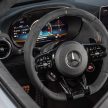 猛兽之王出山！Mercedes-AMG GT Black Series 正式发布，AMG GT系列的终极性能版！可榨出 730 PS / 800 Nm