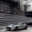 猛兽之王出山！Mercedes-AMG GT Black Series 正式发布，AMG GT系列的终极性能版！可榨出 730 PS / 800 Nm