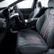 小改款 2021 Hyundai Santa Fe N Performance 套件上身