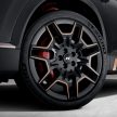 小改款 2021 Hyundai Santa Fe N Performance 套件上身