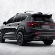 小改款 2021 Hyundai Santa Fe N Performance 套件上身