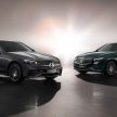 长轴版 V206 Mercedes-Benz C-Class L 首发, 中国限定
