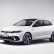 Volkswagen Polo GTI MK6.5 全球首发, 取消手排仅DSG