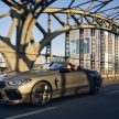 2022 BMW M8 小改款首发, 仅提供Competition旗舰等级