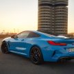 2022 BMW M8 小改款首发, 仅提供Competition旗舰等级
