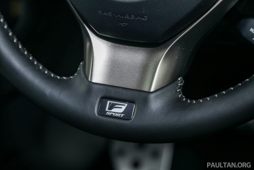 新车试驾: Lexus RX 300 F Sport, 被市场低估的豪华SUV 172669