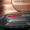 Mercedes-Benz EQA 250 原厂贷款配套详情公布, 可租赁
