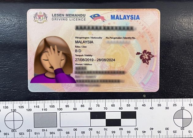 女子在澳洲持假大马驾照开车被截停, 被判社会服务令