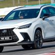 全新 Lexus NX 本地完整规格公布, 双等级售价从37.1万起