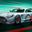 全球限量5辆！Mercedes-AMG GT3 55 周年纪念版发布