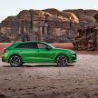 2022 Audi RS Q8 登陆大马, V8引擎3.8秒破百, 售价170万
