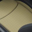 MINI Cooper SE Resolute Edition EV上市, 要价19.8万