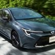 日规版 Toyota Corolla 小改款面世, 1.5L三缸取代1.8L四缸